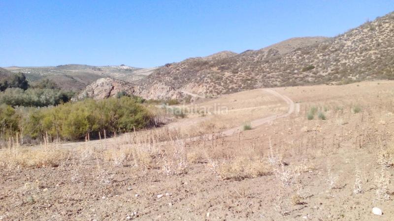 Foto 539c564f-3dfa-41ed-9731-9ae0046a6b79. Finca rústica a Mairena del Alcor