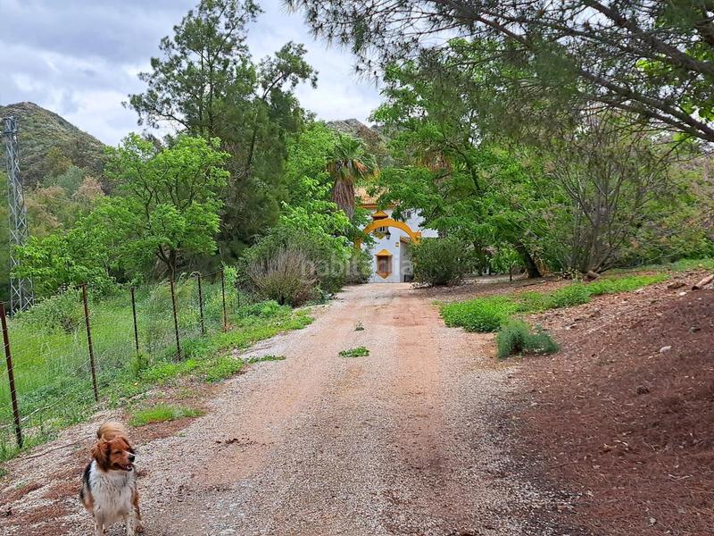 Foto 593c8dfb-a0c3-4baa-91c6-af998bba62ef. Finca rústica a Mairena del Alcor