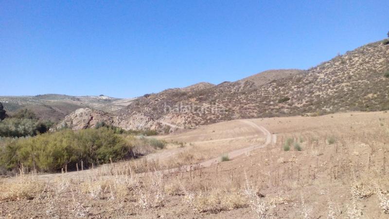 Foto 5a79f0ce-6c51-41cb-8045-b03d6c804997. Finca rústica a Mairena del Alcor