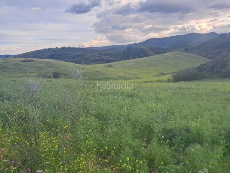 Foto 5f88b4e7-aafa-4edd-8ea7-b3942b587319. Finca rústica a Mairena del Alcor