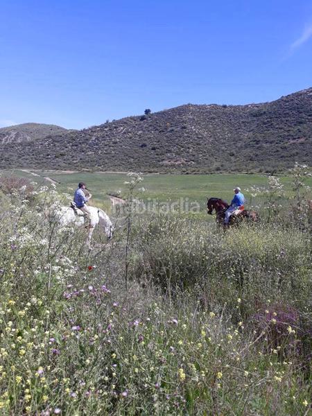 Foto 608672e9-736d-479f-ab34-8a43f1558311. Finca rústica a Mairena del Alcor