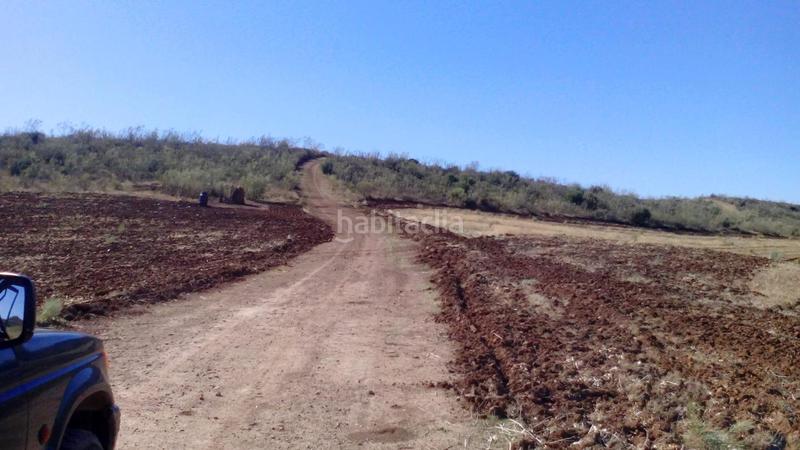 Foto 66c8ac93-4792-49ae-b105-c4478594b09a. Finca rústica a Mairena del Alcor