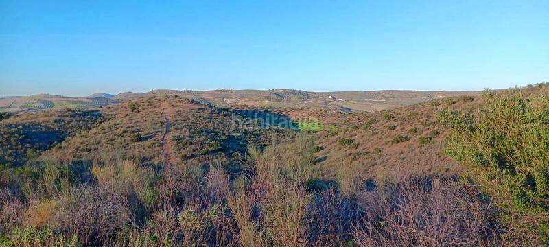 Foto 66cf5a61-5797-4ad1-aaf5-88b892f14bbf. Finca rústica a Mairena del Alcor