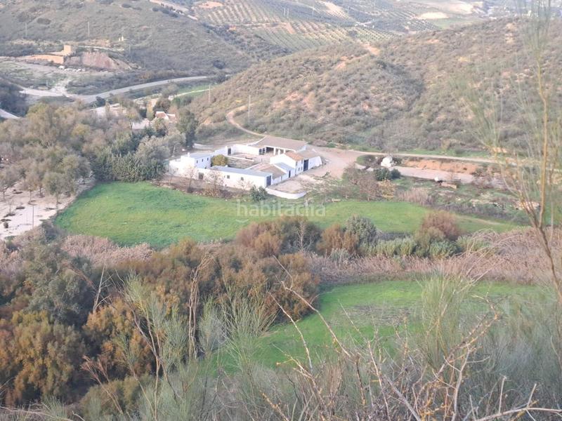 Foto 673d956d-c4f2-4fb7-a541-c848c0a8a165. Finca rústica a Mairena del Alcor
