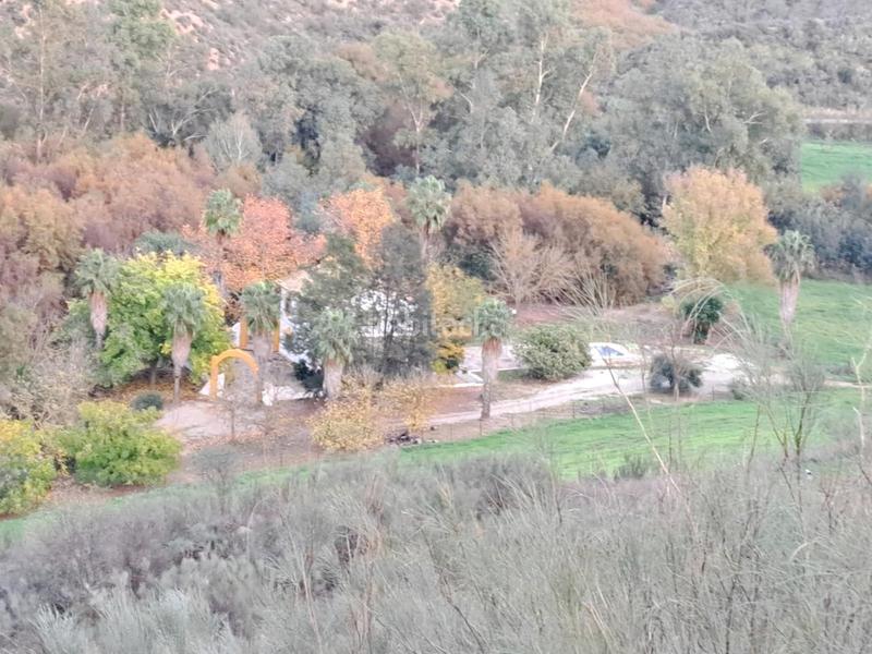 Foto 859d8ac5-4a5a-4561-bf7b-98270f5d3900. Finca rústica a Mairena del Alcor