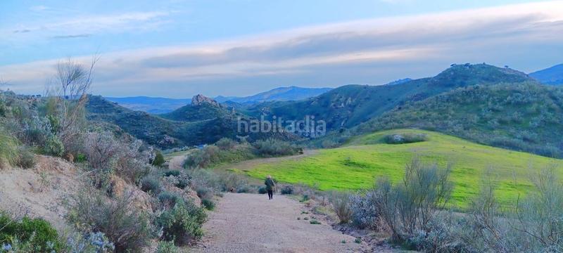 Foto 8dcafafd-2c8a-496e-bdc3-442fb9ce64e4. Finca rústica a Mairena del Alcor