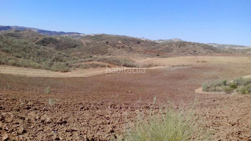 Foto 9ce6f0f9-ed3c-4feb-8ef7-4f770cce3a35. Finca rústica a Mairena del Alcor