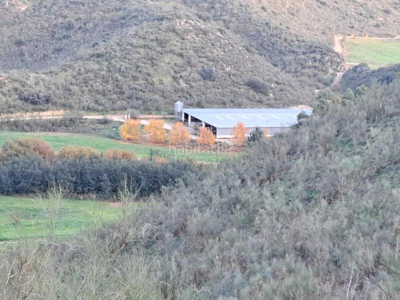 Foto cb7a7bc0-76b7-4966-a609-a845245db295. Finca rústica a Mairena del Alcor