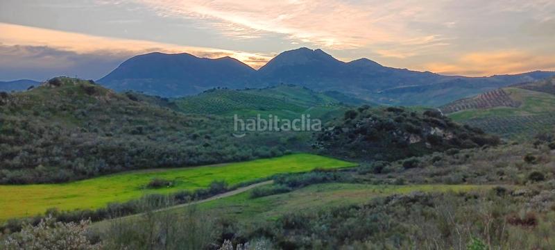 Foto cf55bd63-12fe-4fa6-98a6-9806c06139c8. Finca rústica a Mairena del Alcor