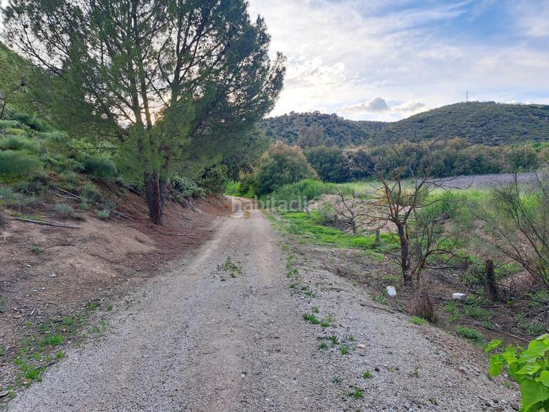 Foto d8e98549-9cfd-479f-9db9-44b9ca6cac21. Finca rústica a Mairena del Alcor