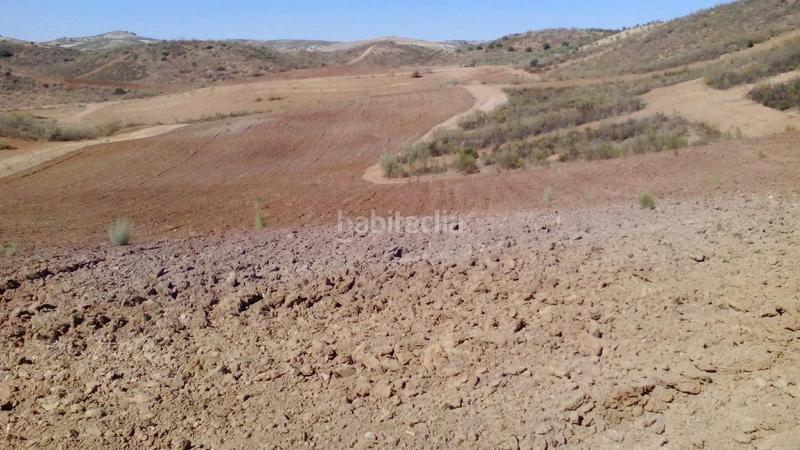 Foto eb134f66-3140-4ba7-86f0-ed5daba35b9f. Finca rústica a Mairena del Alcor