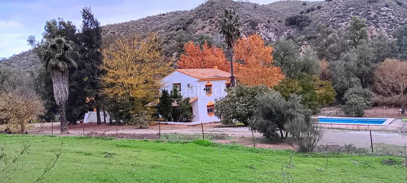 Foto f71bf15e-f584-49c5-8940-2a73c5f391c9. Finca rústica a Mairena del Alcor