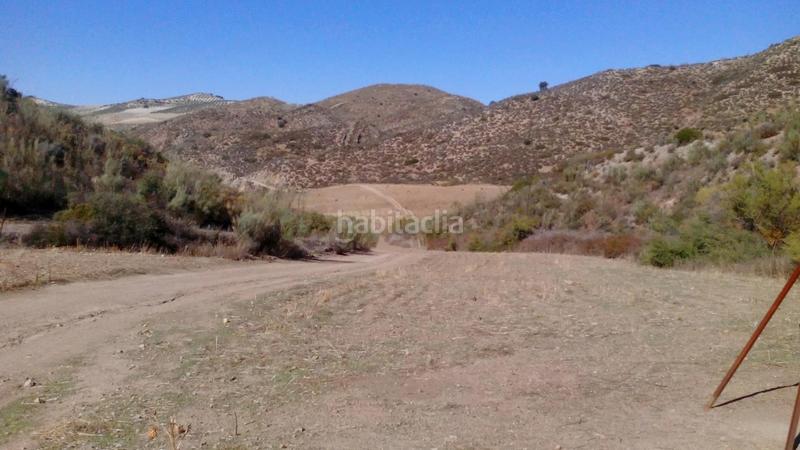 Foto fa8753df-b309-4f99-9deb-4c9592a6ff53. Finca rústica a Mairena del Alcor