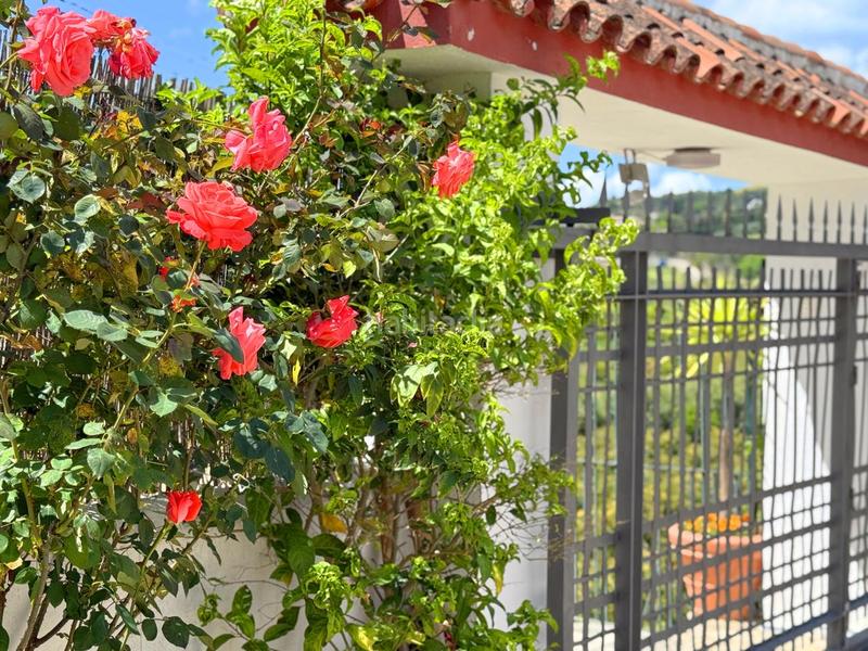 Foto 734db052-e20c-47df-98c8-7de6431ac83f. Casa con piscina in altos de Estepona Estepona