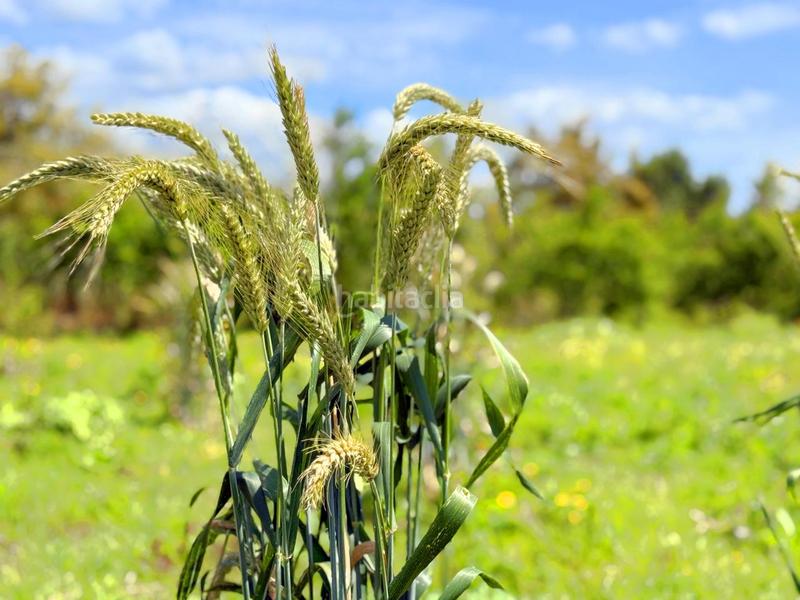 Foto 8925d19a-1c6d-4003-bd77-647973043f5d. Casa con piscina in altos de Estepona Estepona