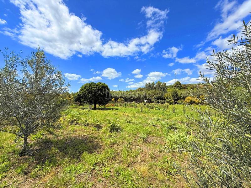 Foto b070d24a-24f7-4ed8-8a76-deac440f35bf. Casa con piscina in altos de Estepona Estepona
