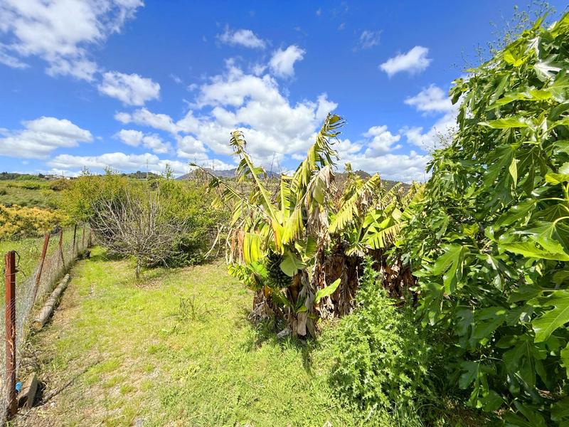 Foto c0d595a5-1963-47c5-815f-d1467e97286a. Casa con piscina in altos de Estepona Estepona