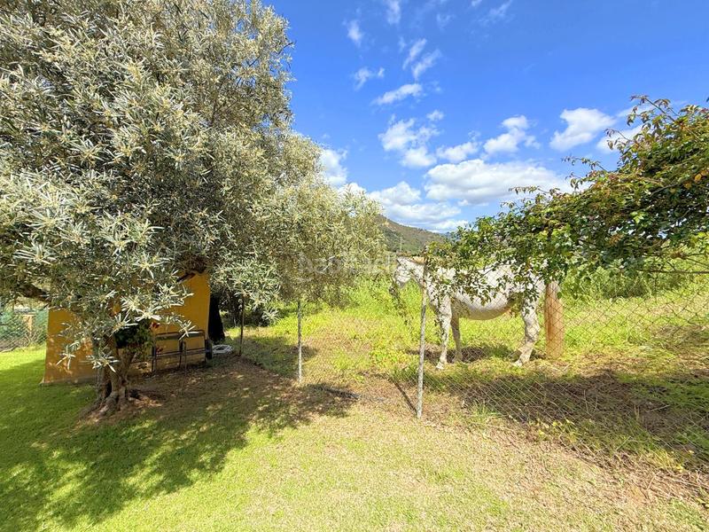 Foto cd0eb0d6-f1e9-4609-b196-c3f467c52367. Casa con piscina in altos de Estepona Estepona