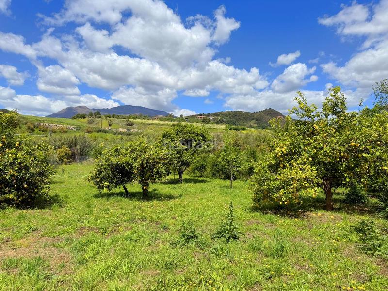 Foto d13597d1-0a3f-4565-b4df-0a9b59aec5ab. Casa con piscina in altos de Estepona Estepona