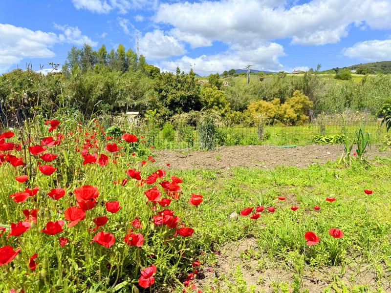 Foto e19e3de2-656e-4701-b241-6eb37def815d. Casa con piscina in altos de Estepona Estepona