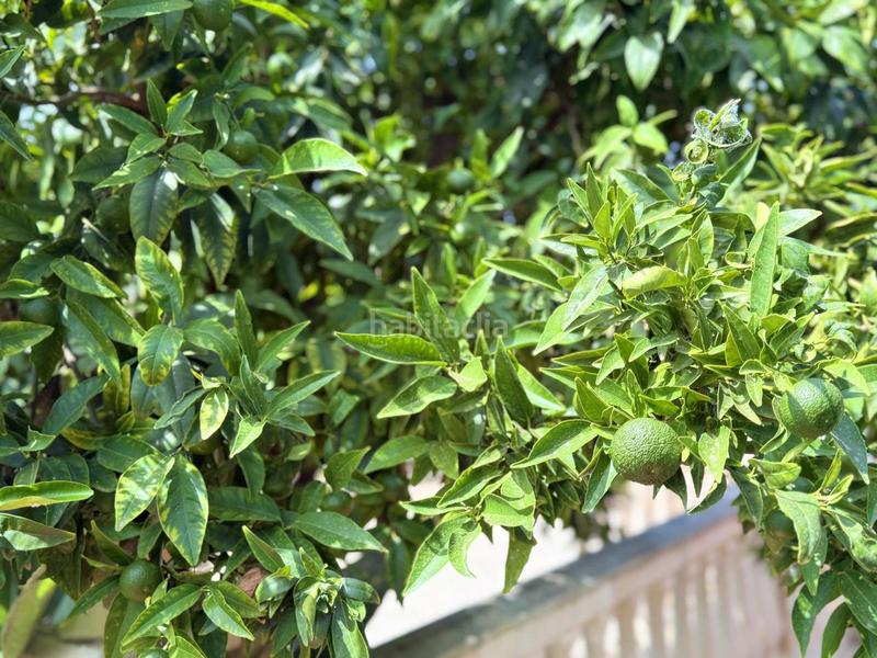 Foto 273b4d84-b3f9-4800-b83c-fc39fd23c1c6. Casa in altos de Estepona Estepona