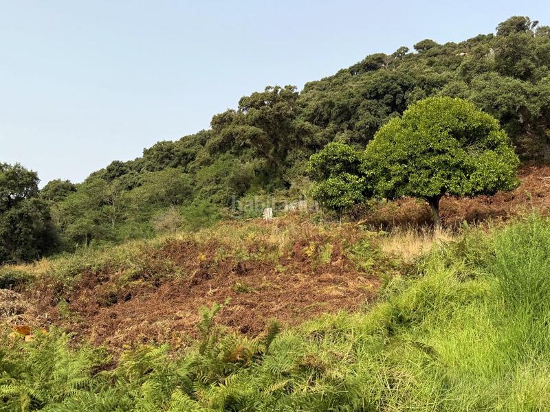 Foto 45cc772a-1db2-403e-ac3b-d1e2c85b32ad. Haus mit parking pool in La Granja - La Colina - Los Pastores Algeciras