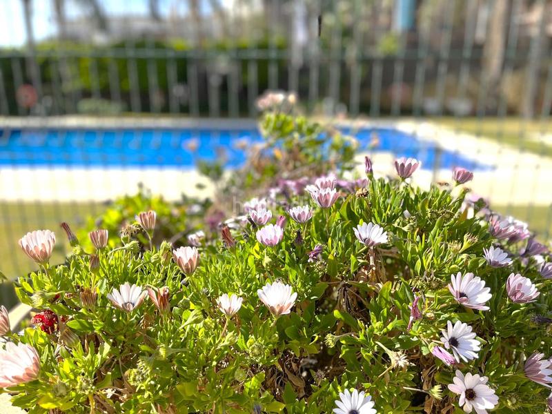 Foto 4c321327-f86a-4309-a190-5bdc23f52d3b. Appartement avec chauffage parking piscine dans Alcorrín Manilva