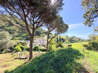 Haus  Venta cozar. Preciosa finca con casa renovada, piscina privada y amplia parce