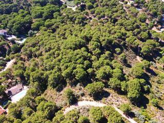 Terreny residencial a Las Jaras. Parcela 3.000 mts cuadrados, urbana en las jaras, con vistas inm
