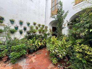 Maison  Calle de las cabezas. Casa de techos altos en plena judería, cordoba