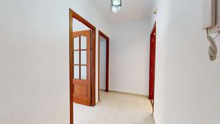 Pis a Fátima - Levante. Magnifica vivienda, de 3 dormitorios, terraza, situada en avda.