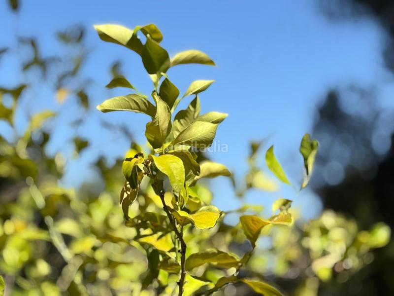 Foto a7eb0a3f-5901-4bd6-a1e7-0381a5b2e63f. Casa a Las Jaras Córdoba