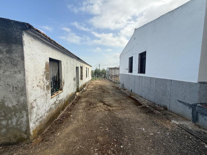 Foto e89b7854-1eb9-49b2-9cb1-5b9fc573c9c9. Finca rústica a Guadalcázar