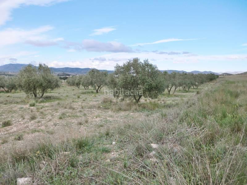 Foto 125b25c3-2bc8-41e1-a8f9-18a9843b7b70. Landgut in Sax