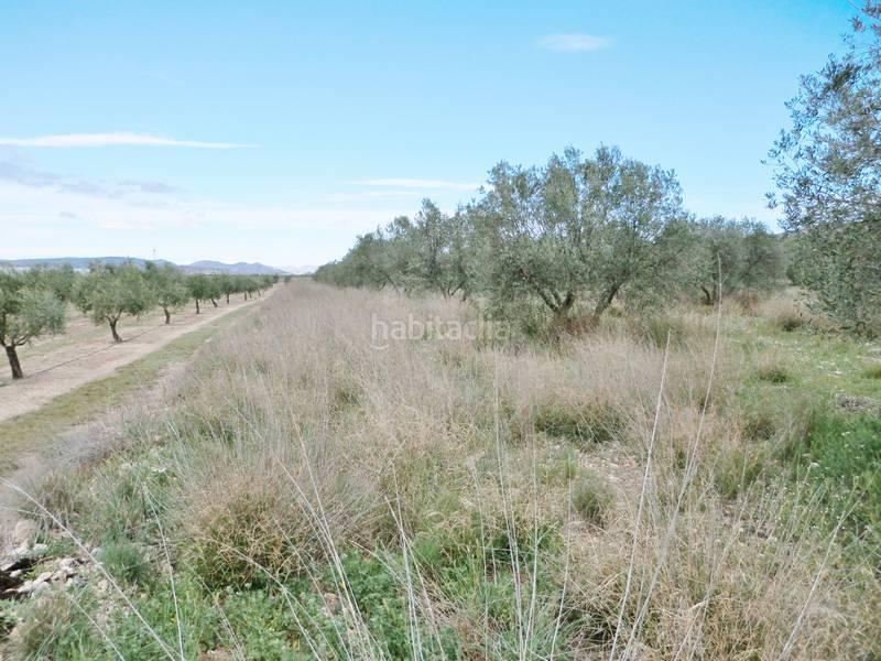 Foto 294c1e00-c669-4862-8bda-9c12fc74a145. Landgut in Sax