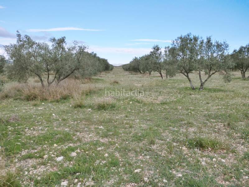 Foto 456bda33-15d7-47aa-b40c-2a833c79530f. Landgut in Sax