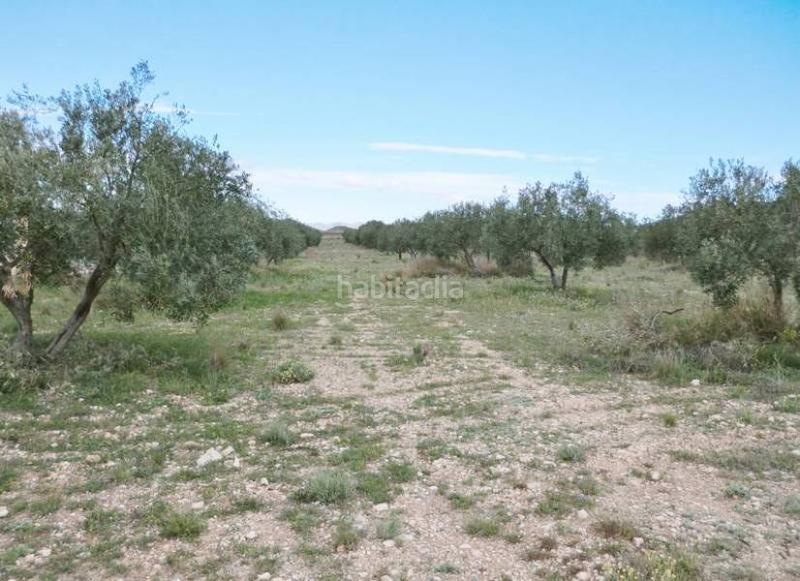 Foto 74f22515-4288-4b7b-92b3-f9c44db55694. Landgut in Sax