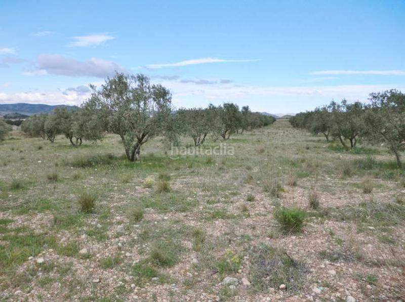 Foto 7a90284b-4e88-4952-9db2-87c4c5a8352f. Landgut in Sax