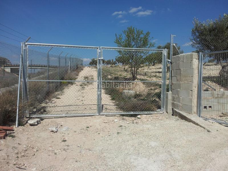 Foto 02d46c7e-0db8-4d40-9f80-28ee04dbafde. Finca rústica a Sax