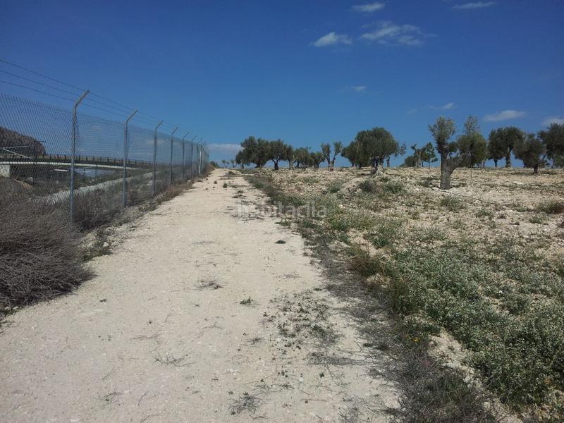 Foto 4ef7324d-afea-48c6-96ba-c24f253de951. Finca rústica a Sax