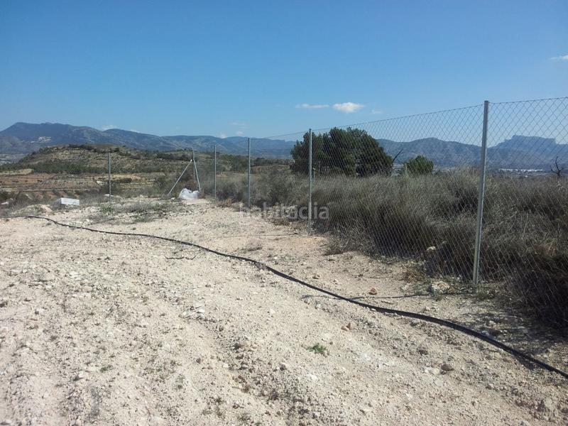 Foto 9da51f9a-e75e-4dbf-b7f5-007b78766353. Finca rústica a Sax