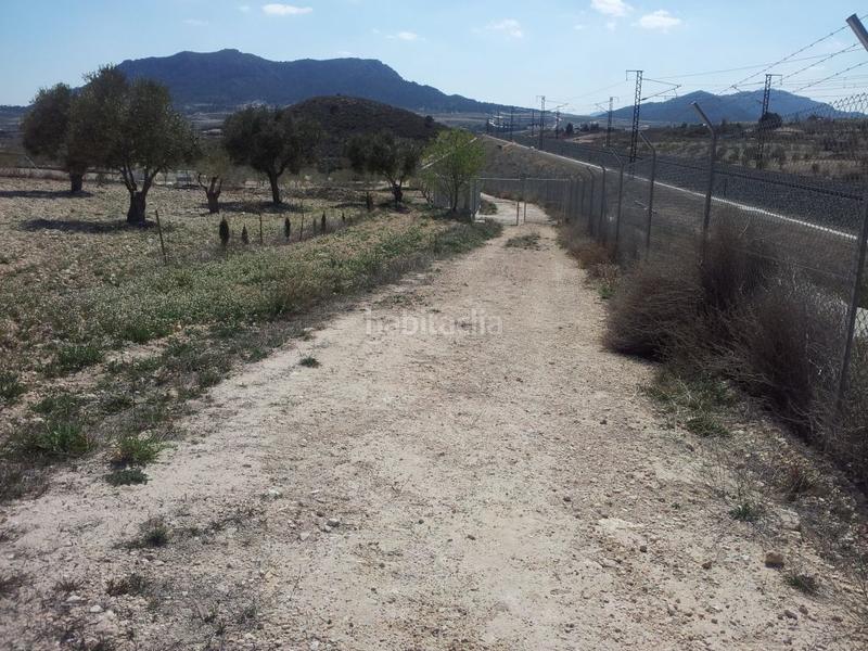 Foto ca89d728-ac38-4261-b951-326d19ff5a07. Finca rústica a Sax