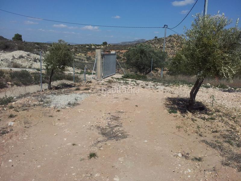 Foto e78231a4-6b81-47ac-aa5f-067dd9457106. Finca rústica a Sax