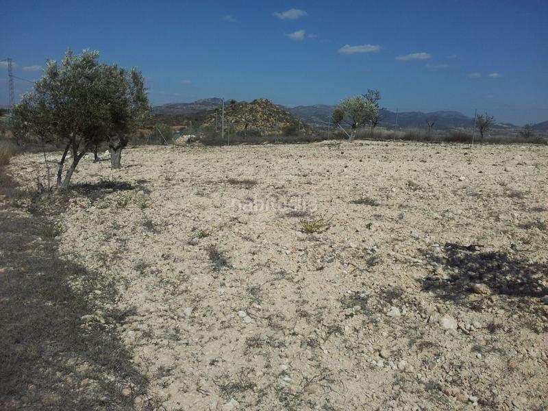 Foto e9c64098-8fe8-4657-aba1-17d2c9b1e9e2. Finca rústica a Sax