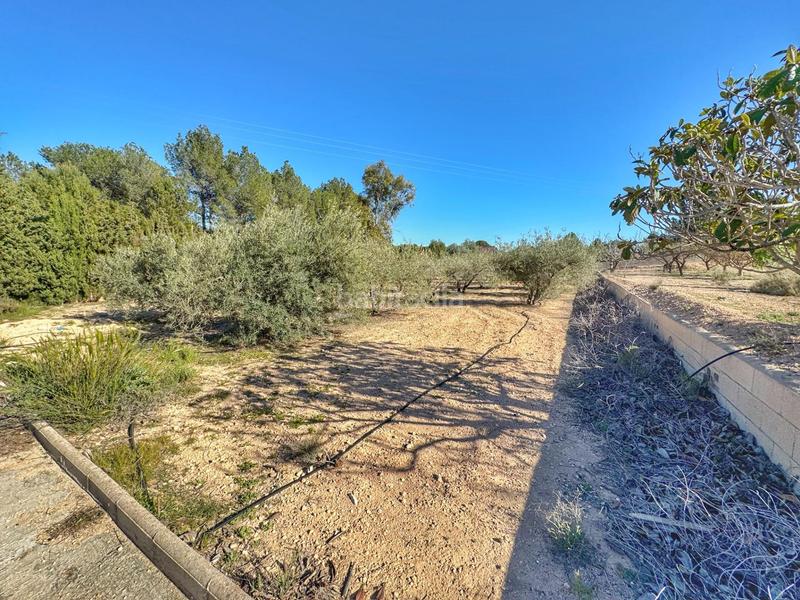 Foto 5eb36dd7-8f5b-45fc-b4ec-ed22b8fc98bf. Casa  de campo , zona campo alto en Campo Alto-Club de Campo Elda