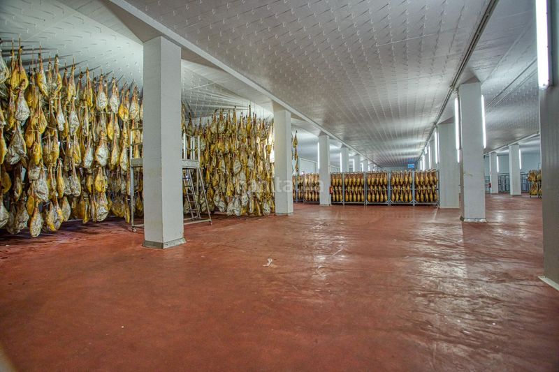 Foto 186dc1f8-7561-4f1a-99ee-d7b847ed0bbc. Fabrikhalle in Zona Rural Ávila