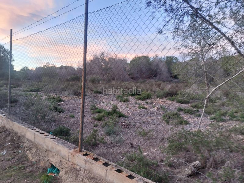 Foto b5fb8050-8014-41d9-9234-8a74c622ff94. Finca rústica a El Esparragal Murcia