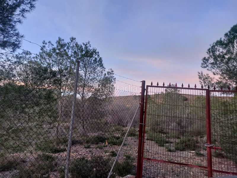 Foto beb45b39-7c69-436c-bcb6-9662aa45c915. Finca rústica a El Esparragal Murcia