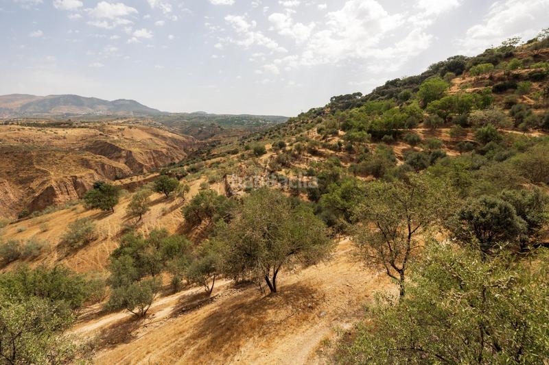 Foto d90b0994-b62d-4dd4-b28c-262d18f70a1c. Mas avec piscine dans Haza Grande Granada