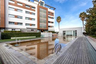 Planta baixa en Campus de la Salud. Precioso piso en urbanizacion novocampus